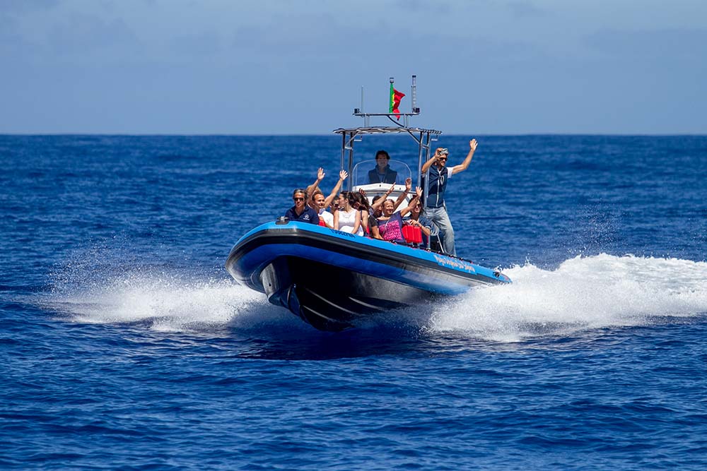 Excursion en bateau à Madère - Magic Dolphin - Speed Boat - The RIB